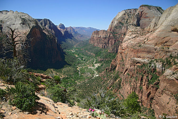 Angels Landing